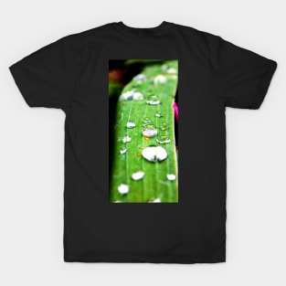 Waterdrops T-Shirt